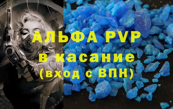 индика Абаза