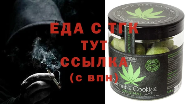 индика Абаза