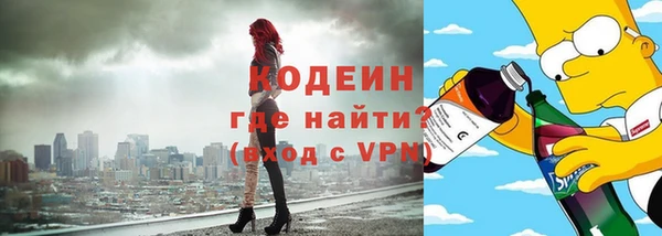 индика Абаза