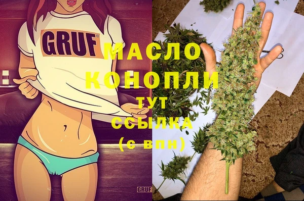 индика Абаза