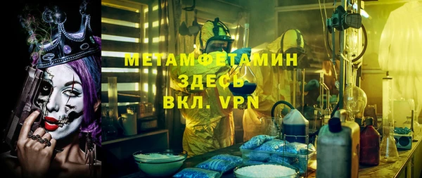 индика Абаза