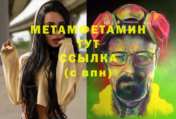 индика Абаза